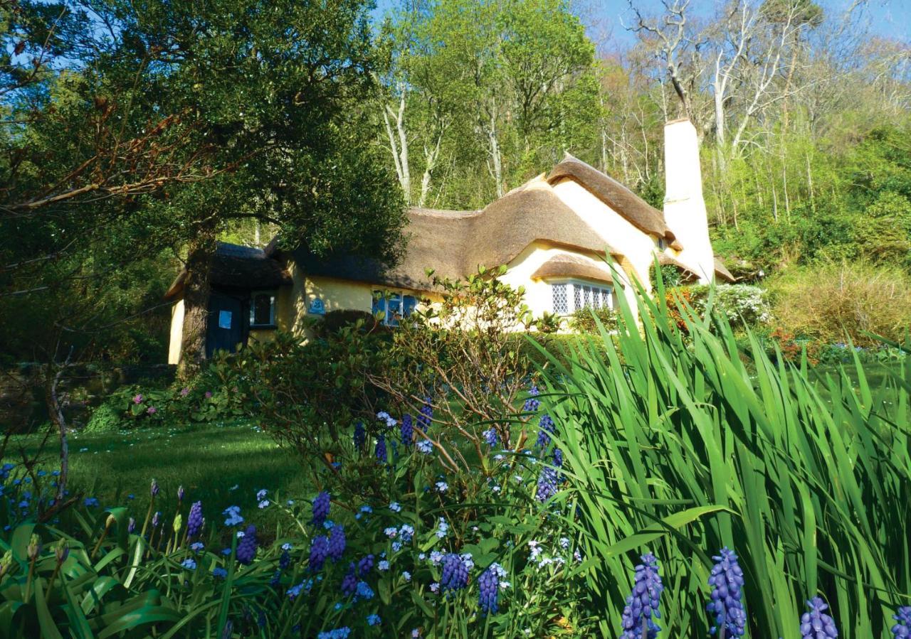Frühstückspension Southcliffe 3*